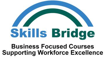 Skills Bridge Logo